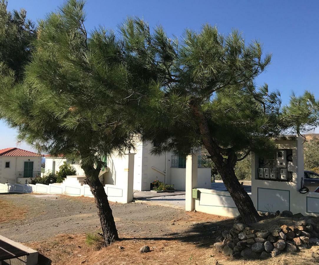 Ampeloessa Village Kornos Экстерьер фото